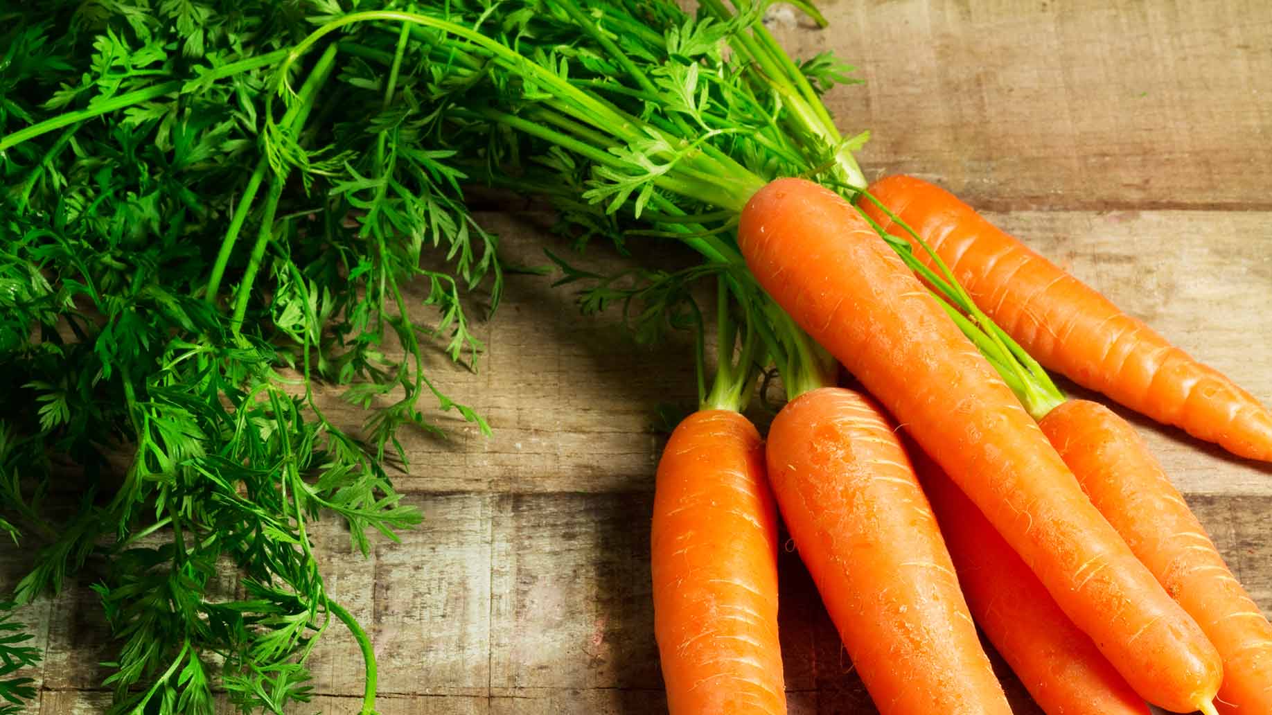 fresh carrots organic stems root for liver cleanse