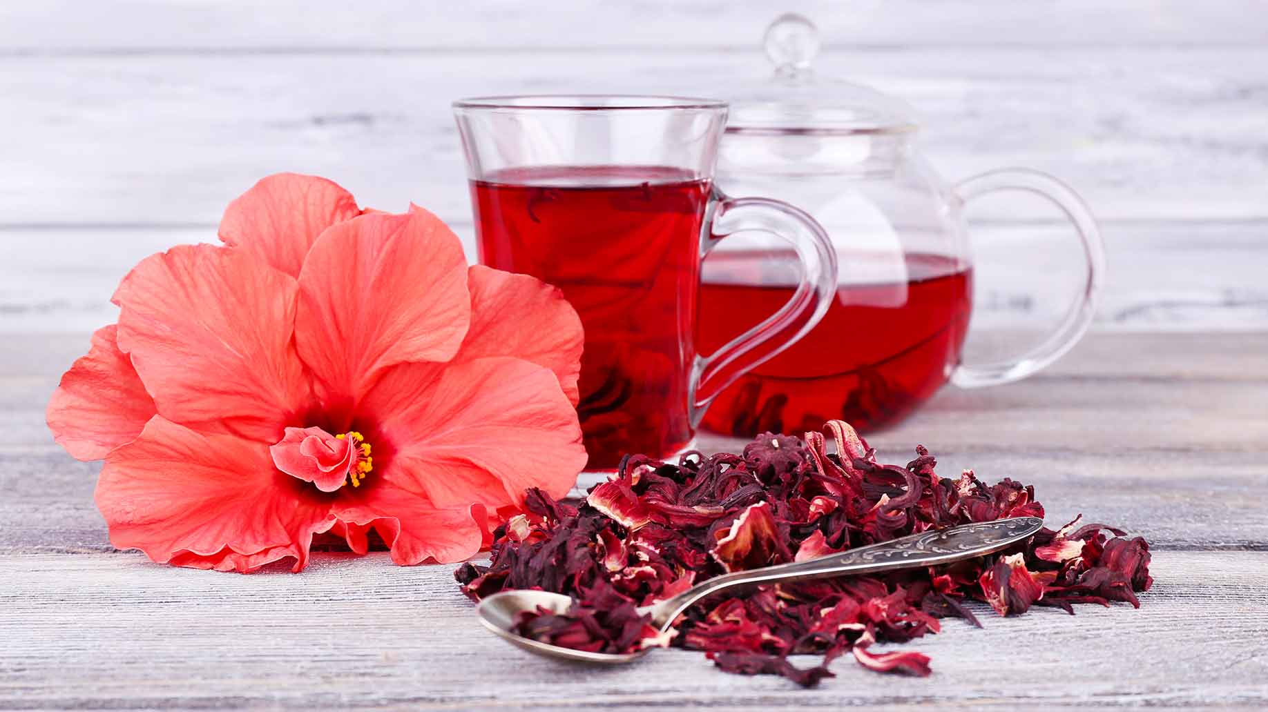 hibiscus tea flower natural herbal remedy high blood pressure hypertension