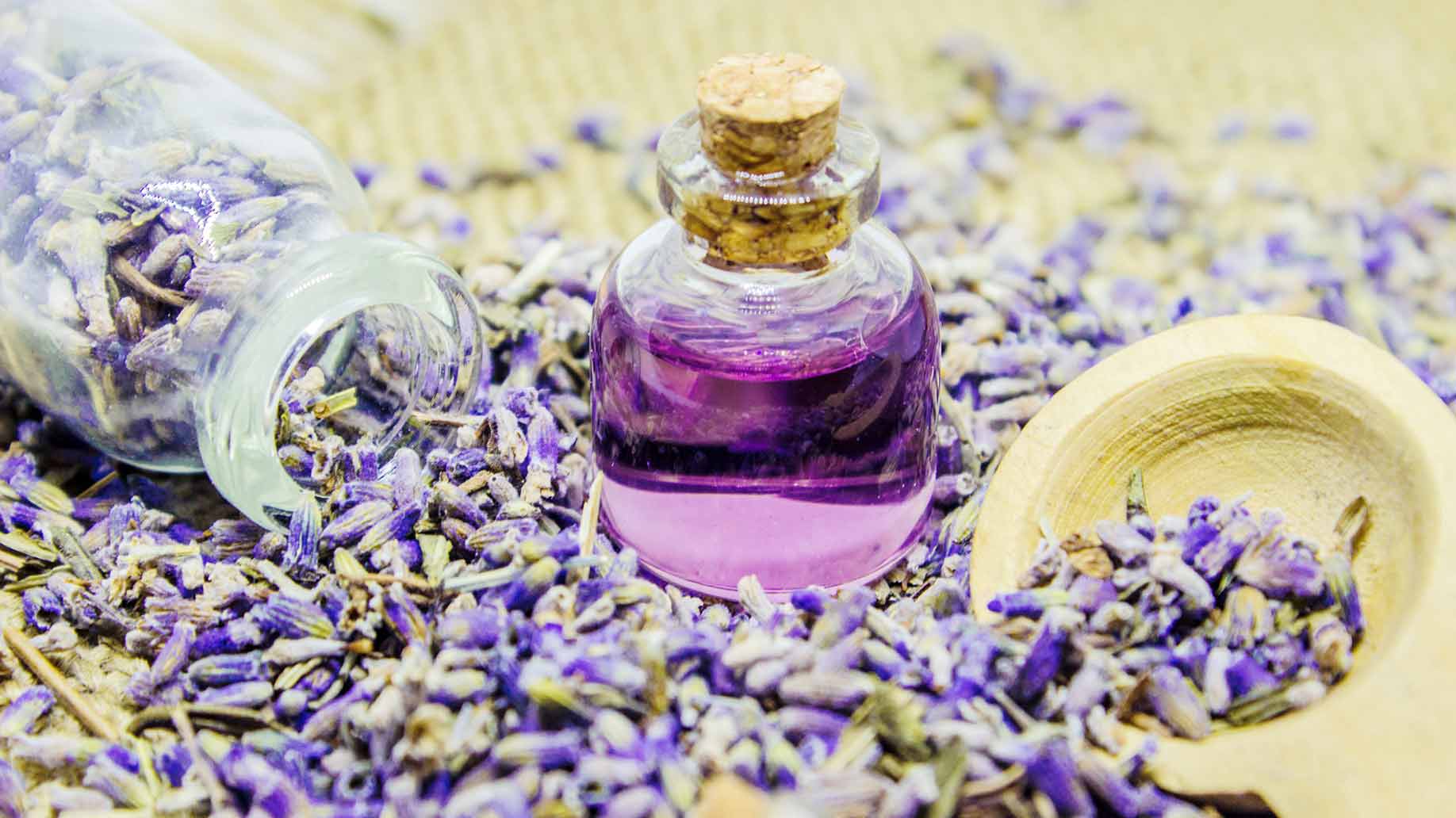 lavender essential oil natural health benefits anxiety insomnia period pain