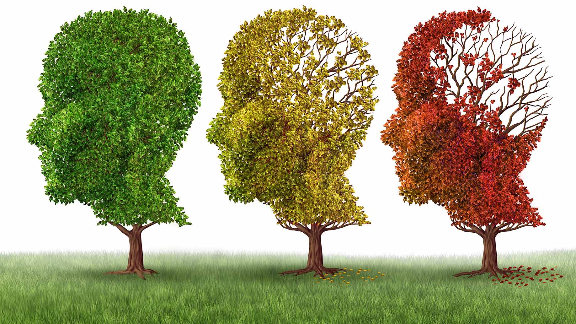 Alzheimers disease dementia memory loss brain cells vitamin d cognition