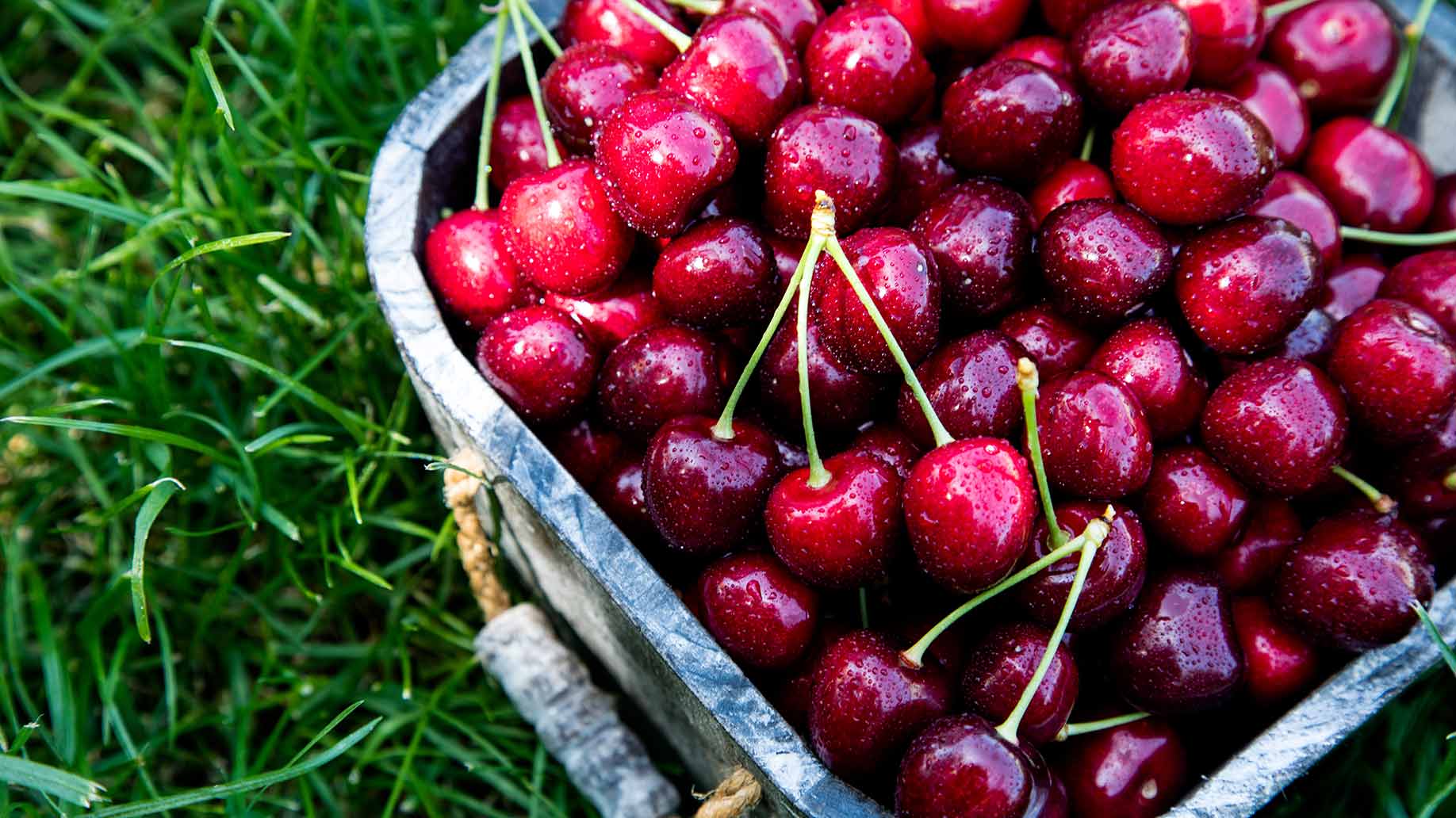 cherries cherry juice melatonin insomnia sleep disorder natural remedy aid