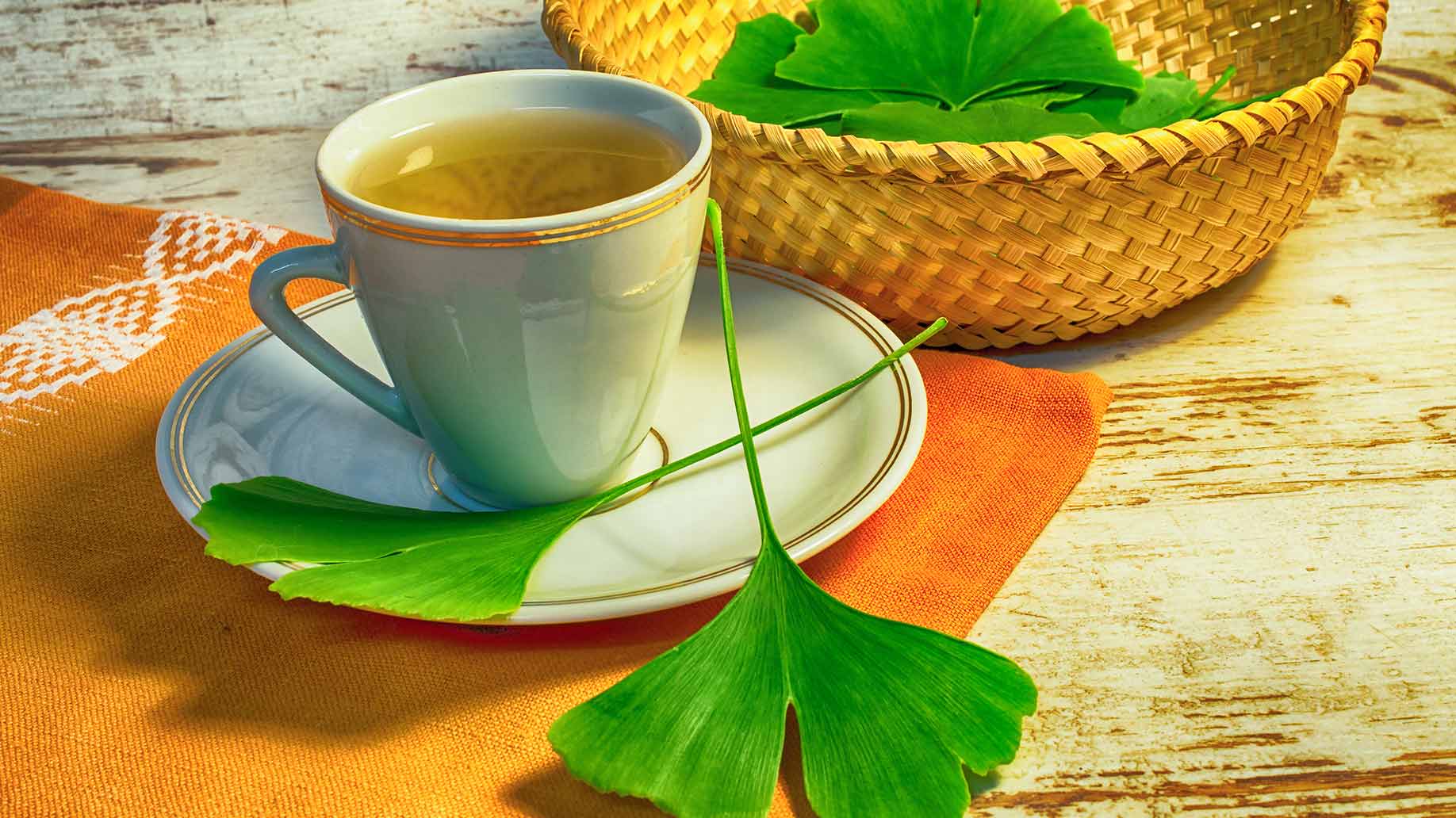 Leaky gut ginkgo biloba green leaves tea natural remedies