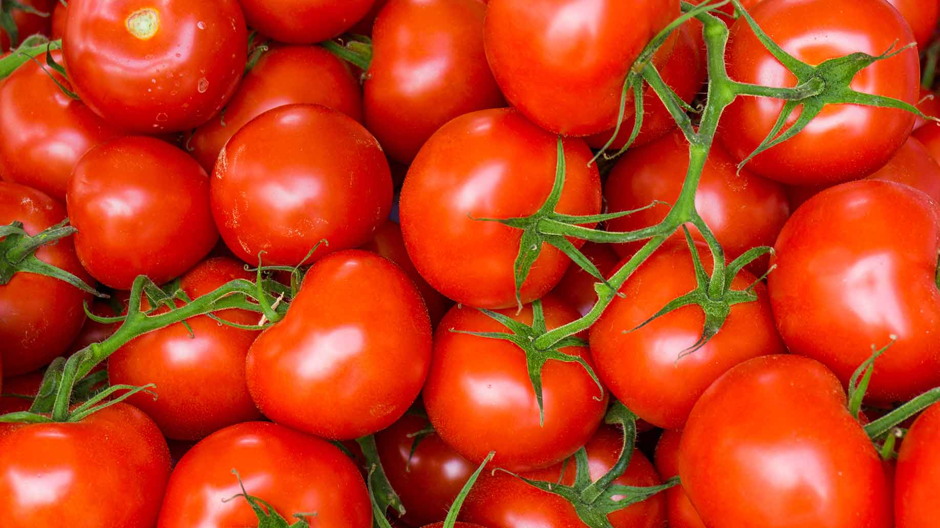 high cholesterol red ripe tomatoes natural remedies