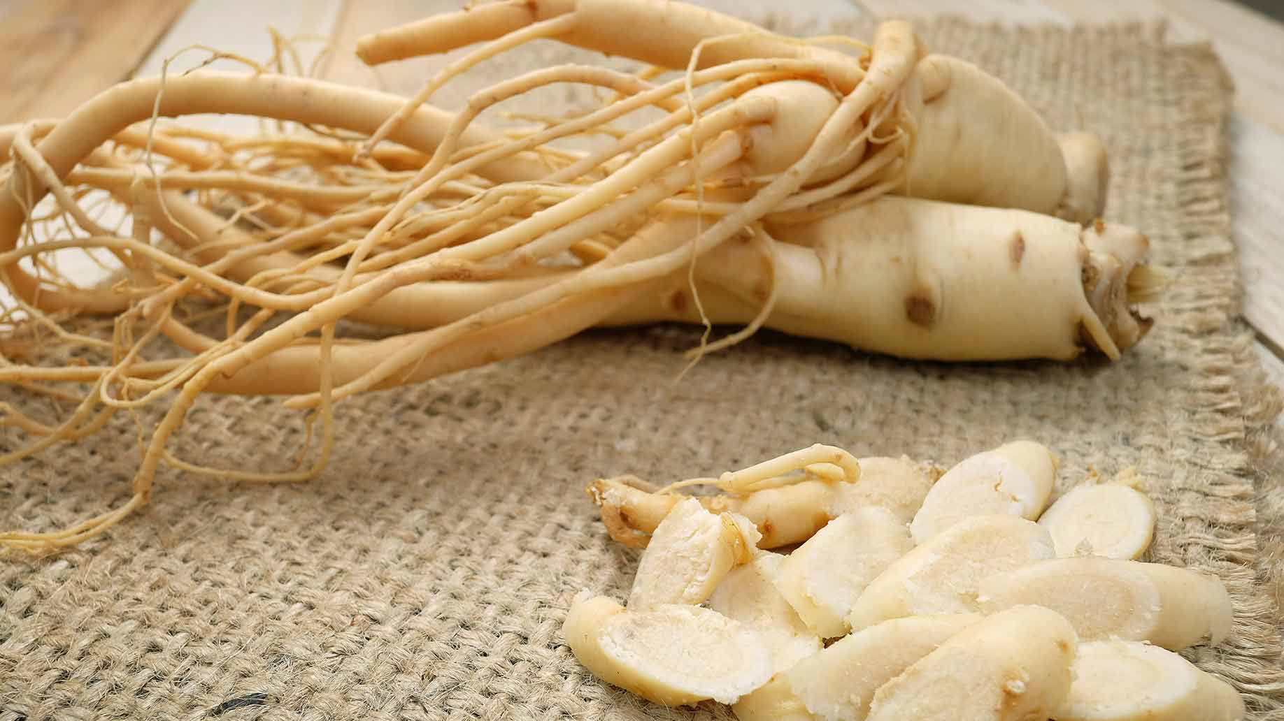 asian ginseng roots boost increase energy