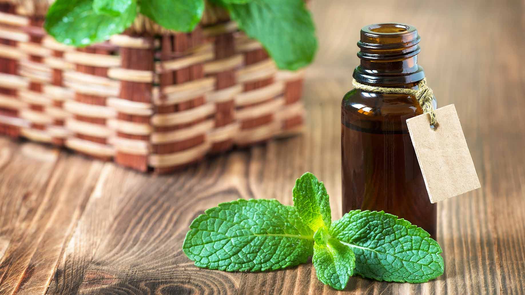 peppermint oil aromatherapy leaves increase boost energy levels natural remedies.