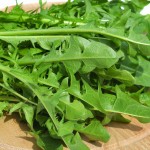 dandelion fresh green leaves liver cleanse detox diy remove toxins naturally