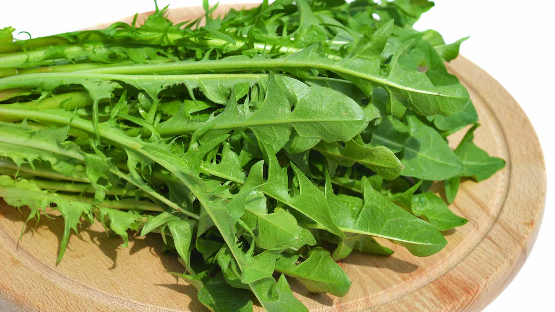 dandelion fresh green leaves liver cleanse detox diy remove toxins naturally