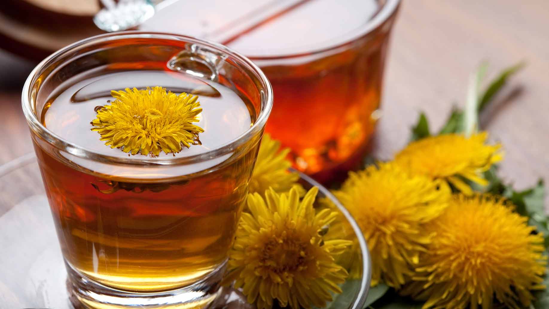 dandelion tea liver cleanse fresh dandelion leaves