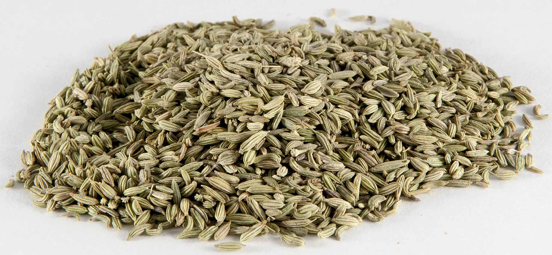 fennel seeds for bad breath halitosis how to get rid of naturally