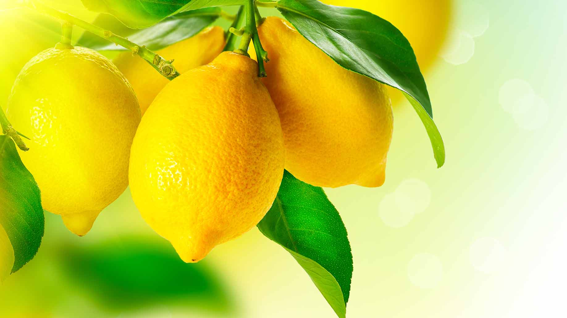 fresh lemons citrus fruits acid vitamin c for bad breath halitosis how to get rid of naturally