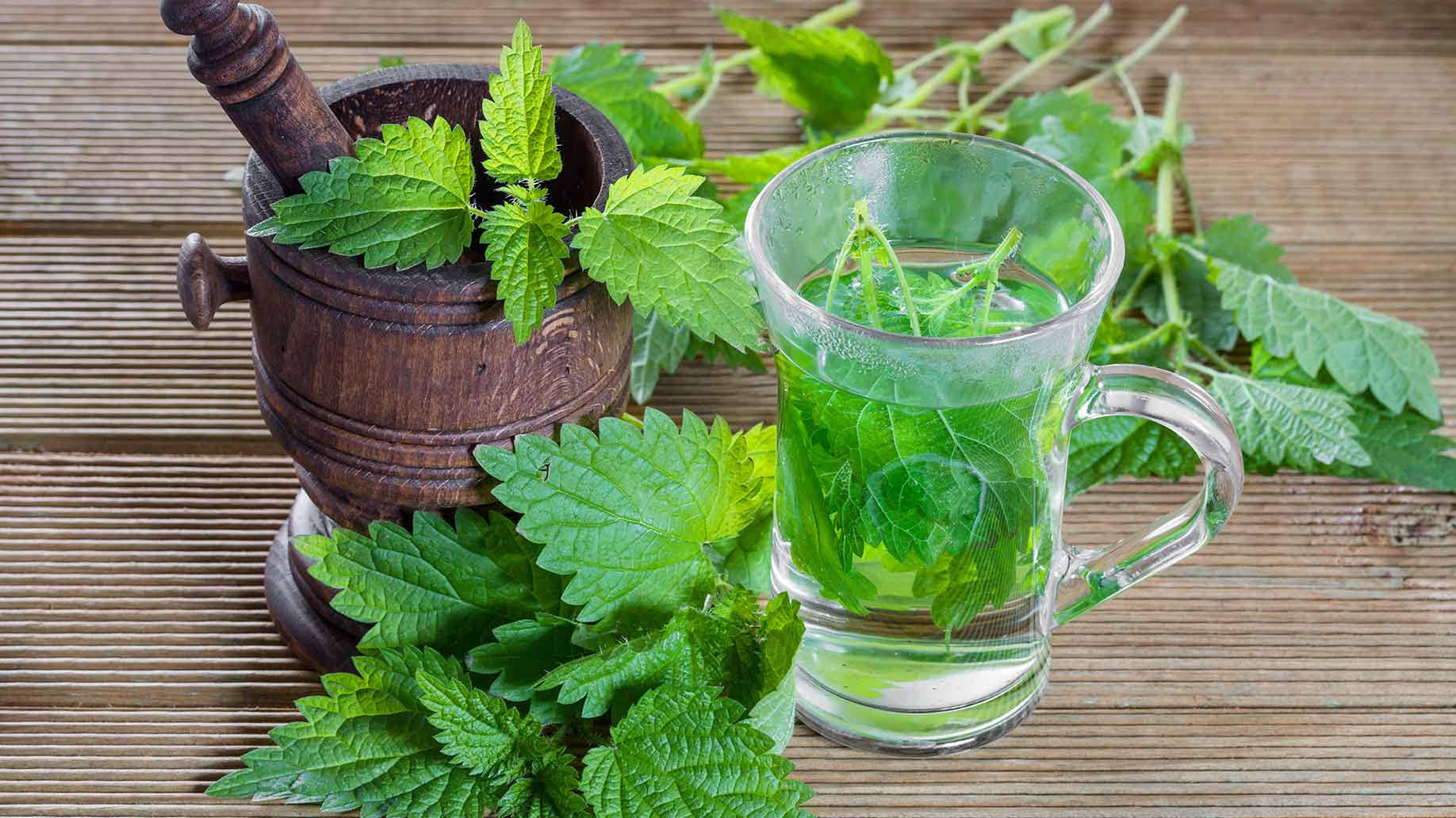 fresh peppermint parsley herbs for bad breath halitosis how to get rid of naturally