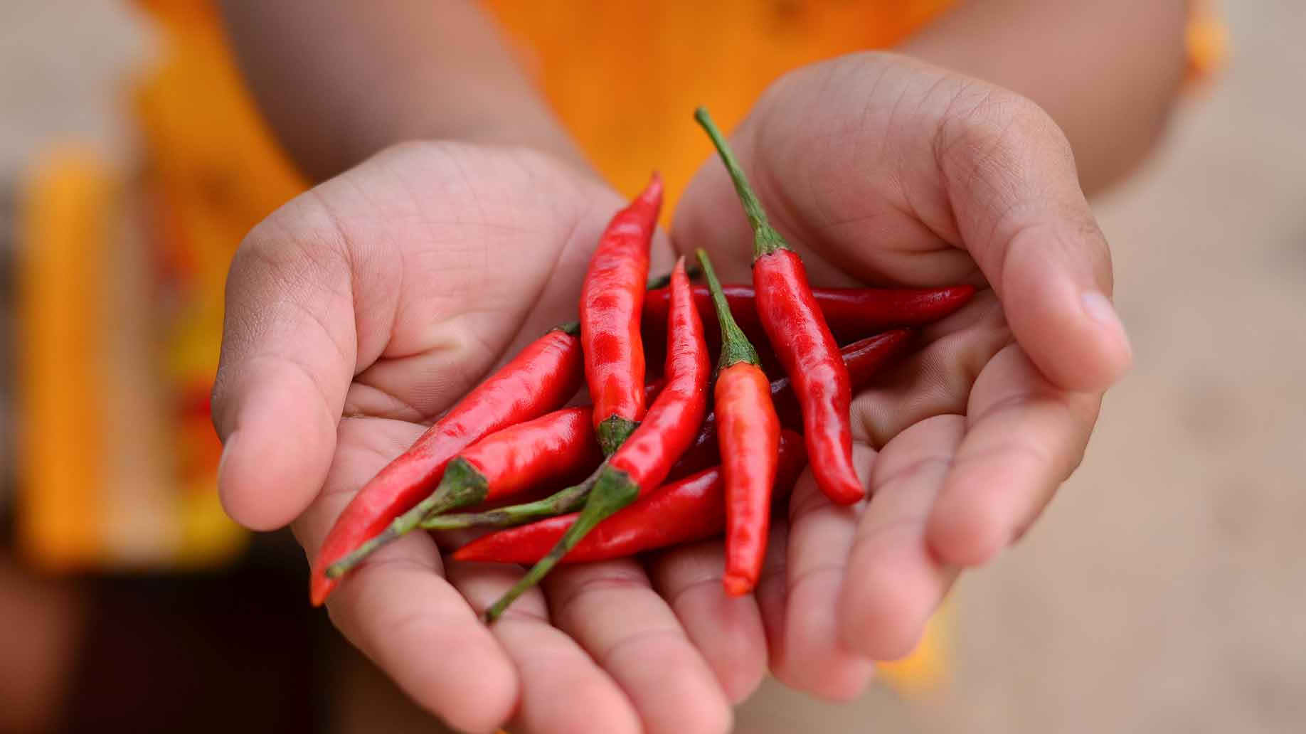 capsaicin cayenne chilli red hot spicy peppers arthritis natural remedies