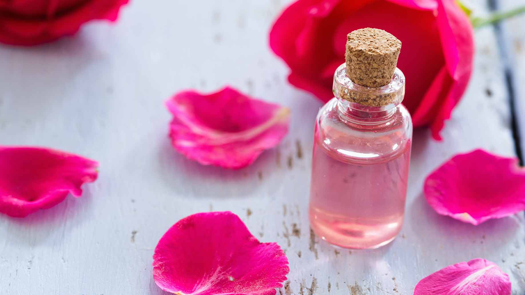 rose essential oil natural health benefits anxiety calm blood pressure antibacterial relaxation aromatherpy
