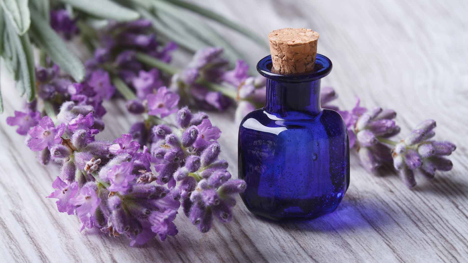 lavender oil balding hair loss thinning natural remedies