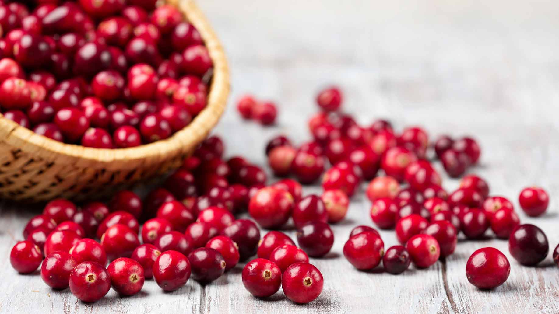 cranberries urinary tract infection uti natural remedies red berries